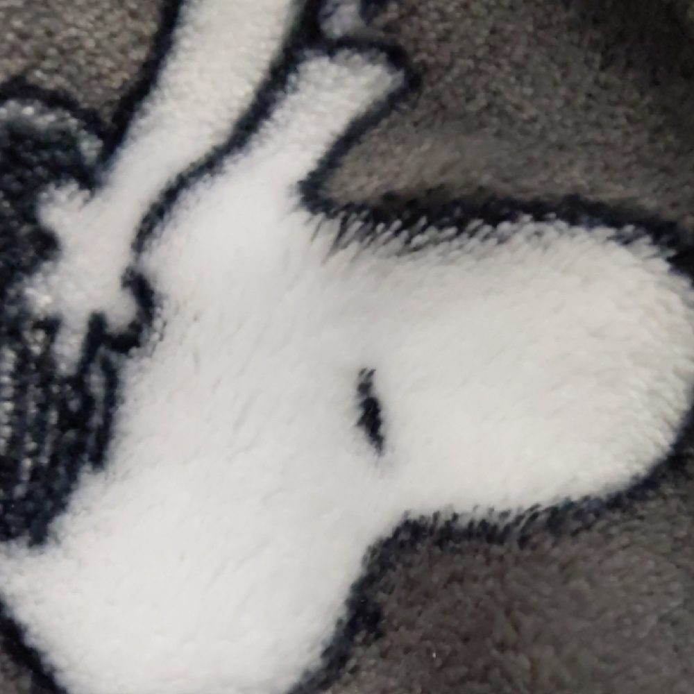 Gray and White Fleece Blanket